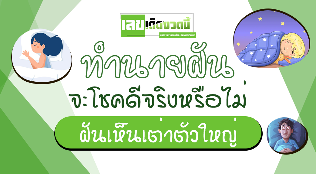 ฝันเห็นเต่าตัวใหญ่