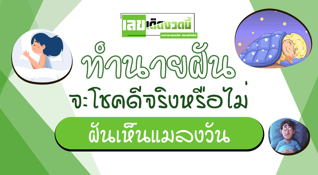 ฝันเห็นแมลงวัน