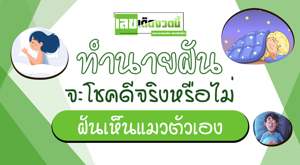 ฝันเห็นแมวตัวเอง