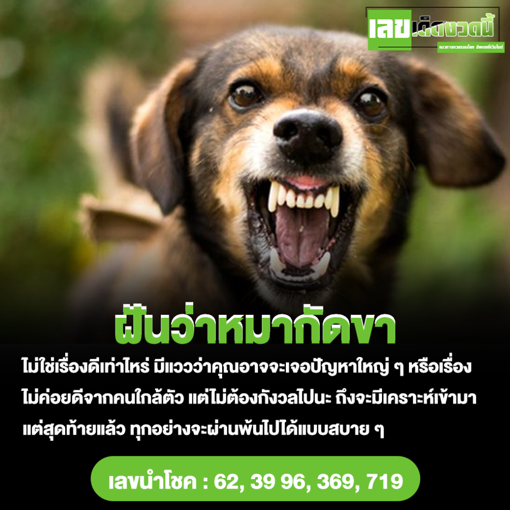 ฝันว่าหมากัดขา