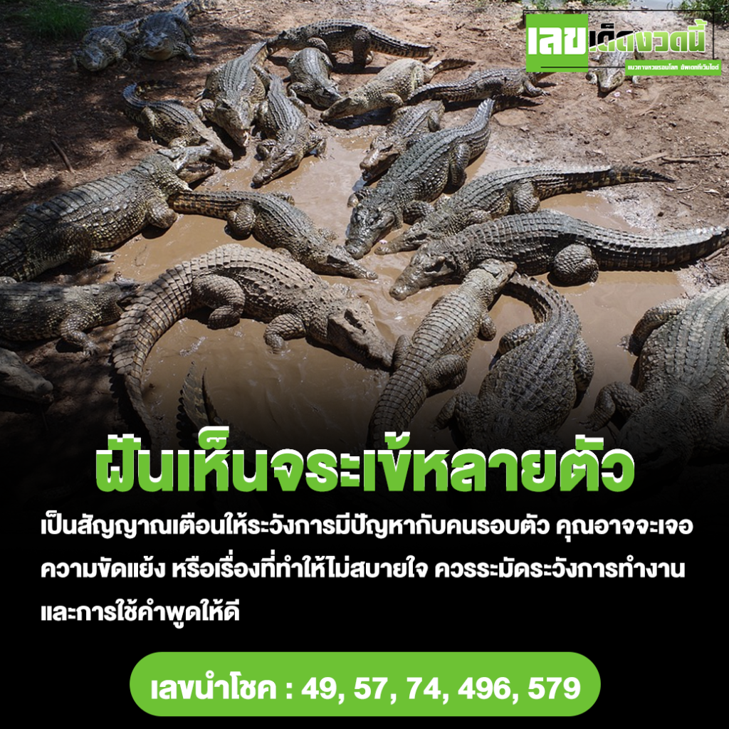 ฝันเห็นจระเข้หลายตัว