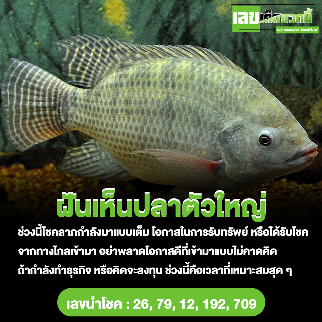 ฝันเห็นปลาตัวใหญ่