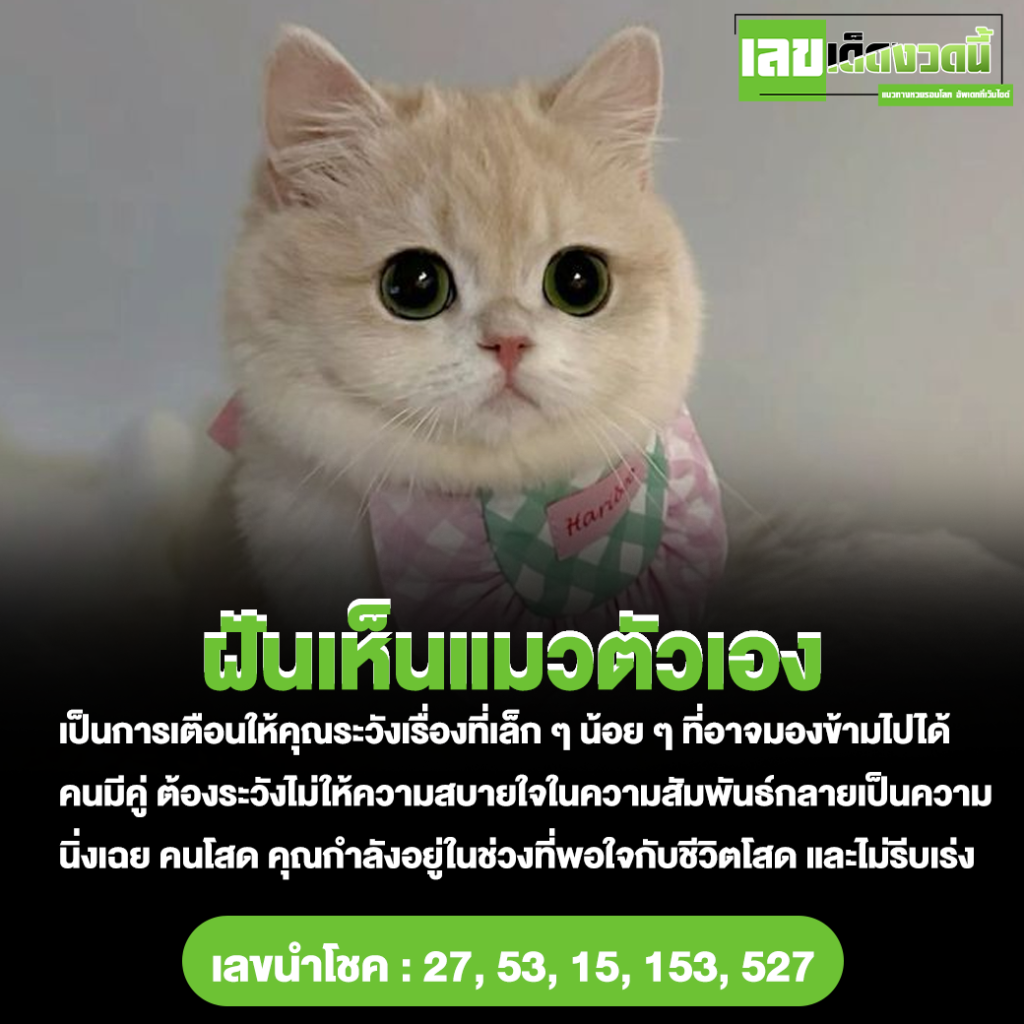 ฝันเห็นแมวตัวเอง