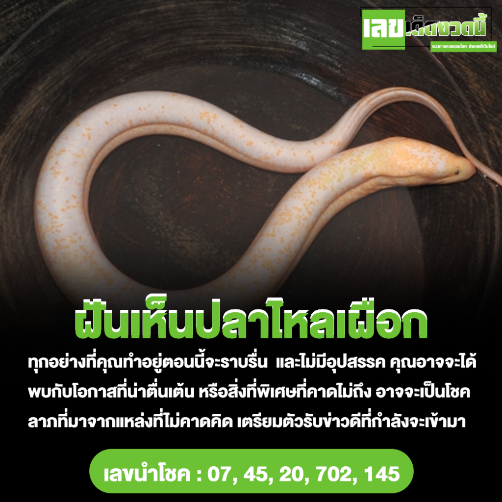 ฝันเห็นปลาไหลเผือก
