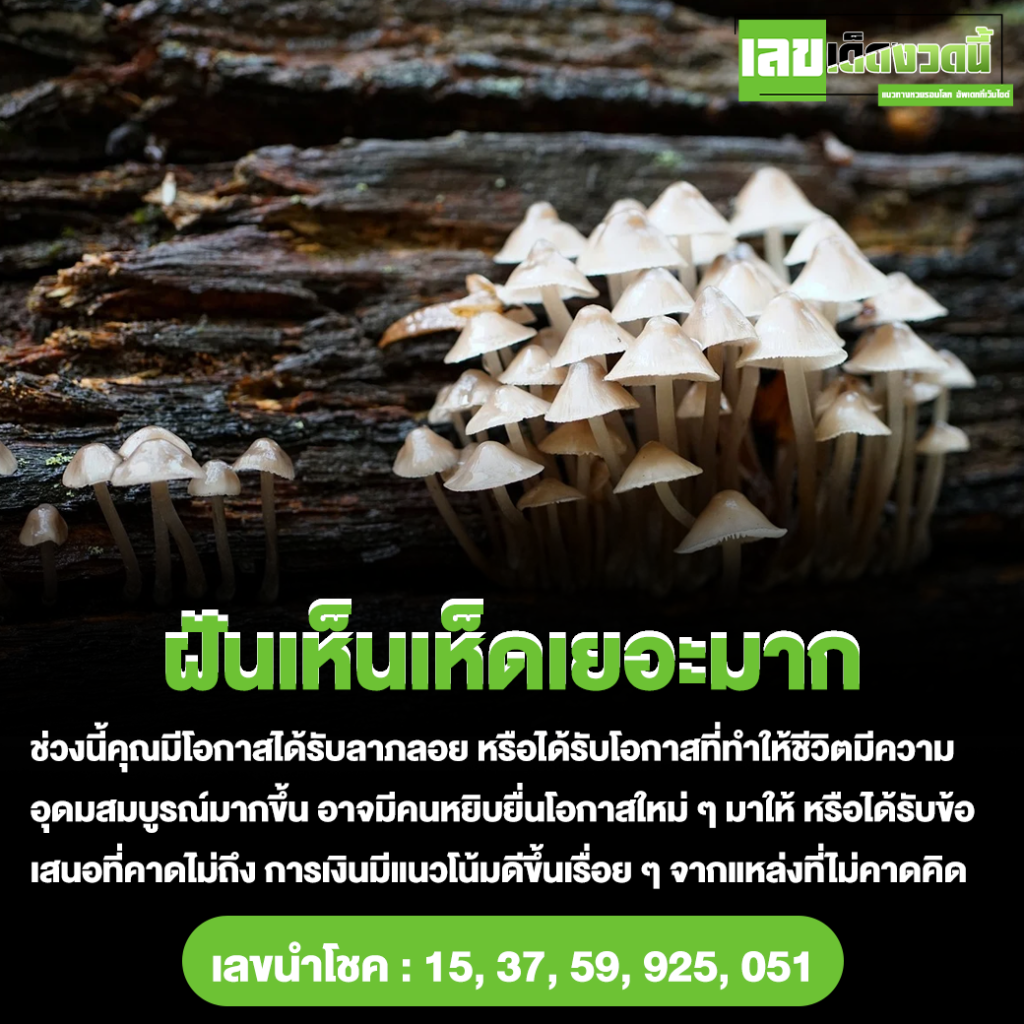 ฝันเห็นเห็ดเยอะมาก