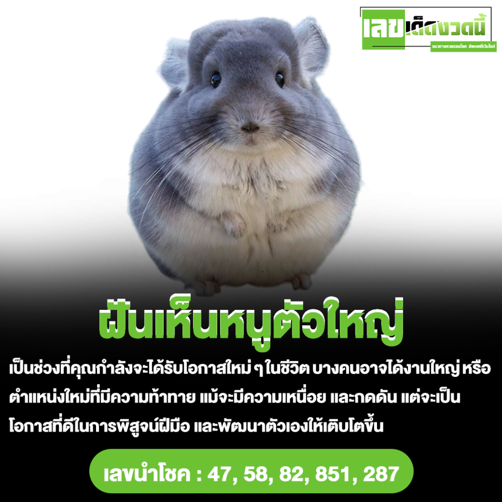 ฝันเห็นหนูตัวใหญ่
